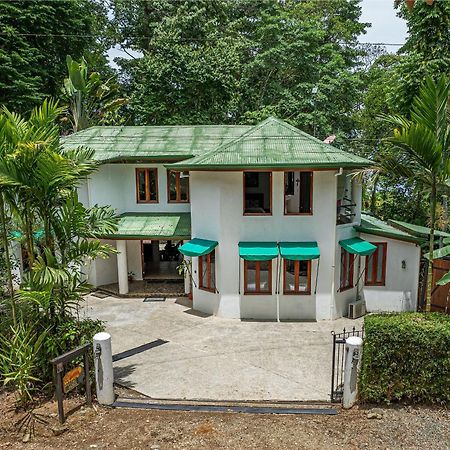 The Jungle Inn Dominicalito Luaran gambar