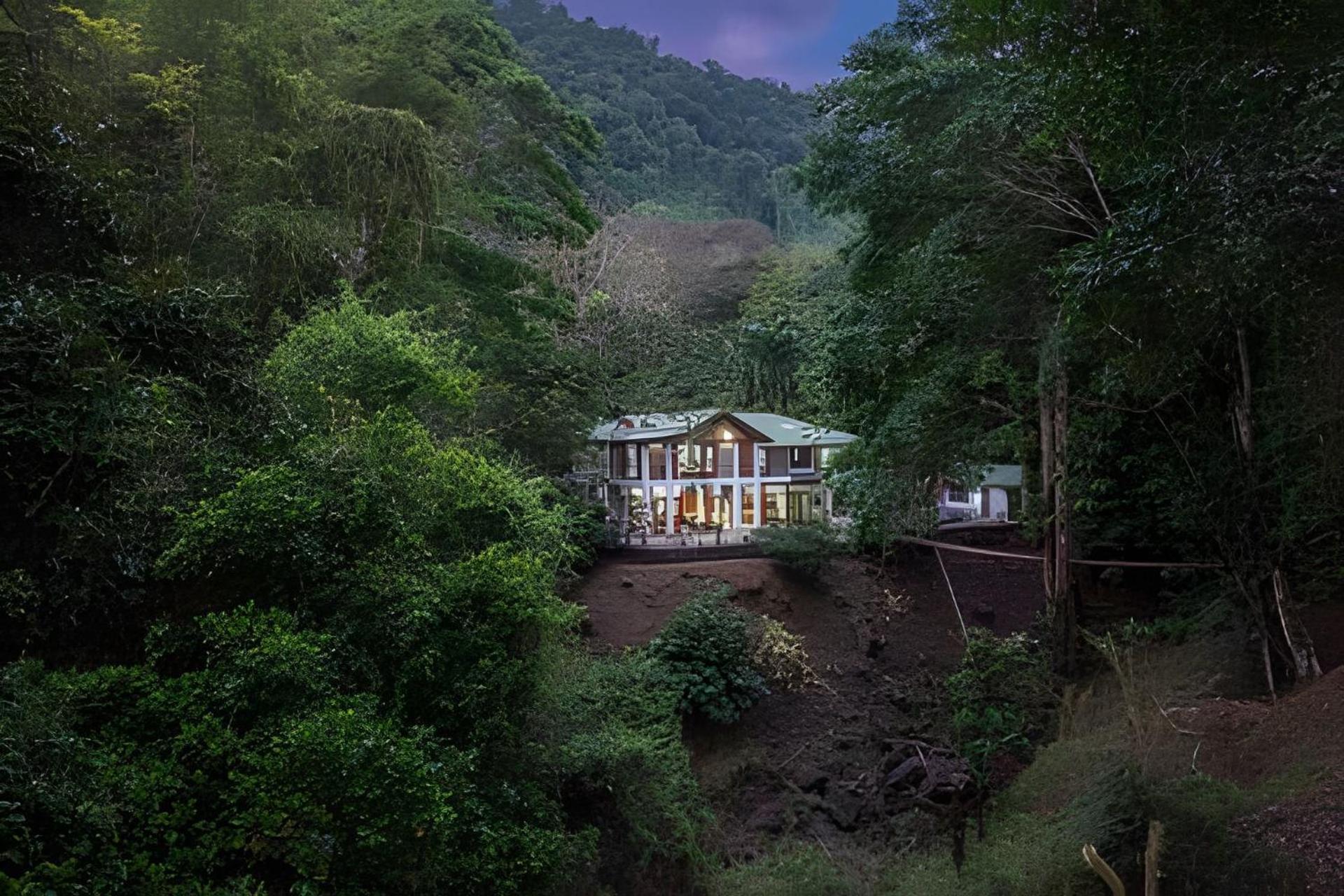 The Jungle Inn Dominicalito Luaran gambar